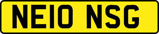 NE10NSG