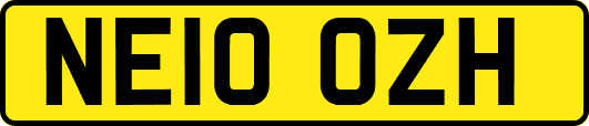 NE10OZH