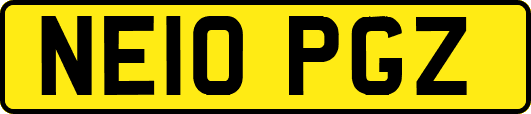 NE10PGZ