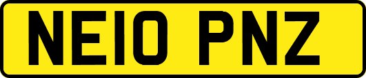 NE10PNZ