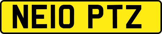 NE10PTZ