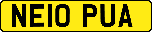 NE10PUA