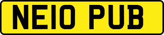 NE10PUB
