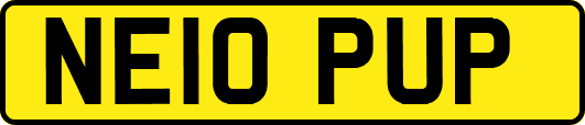 NE10PUP