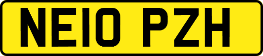 NE10PZH