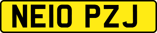 NE10PZJ