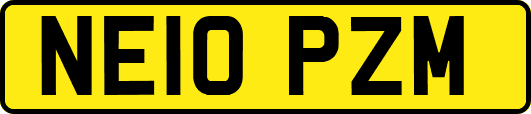 NE10PZM
