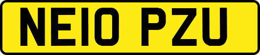 NE10PZU