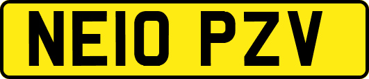 NE10PZV