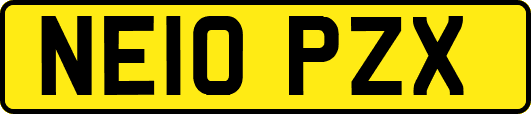 NE10PZX