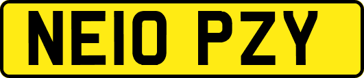 NE10PZY