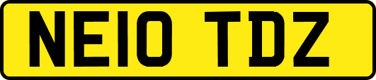 NE10TDZ