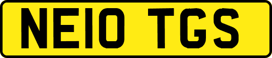 NE10TGS