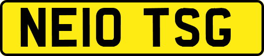 NE10TSG