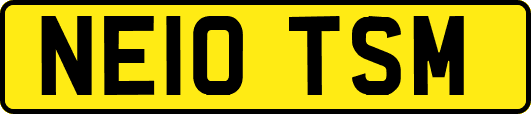 NE10TSM