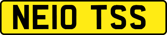 NE10TSS