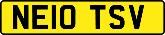 NE10TSV