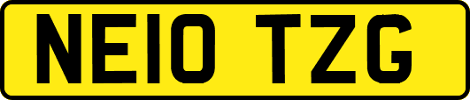 NE10TZG