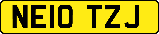 NE10TZJ