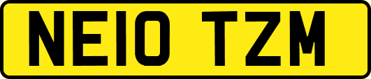NE10TZM