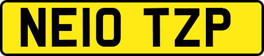 NE10TZP