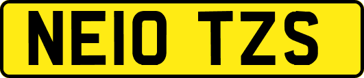NE10TZS