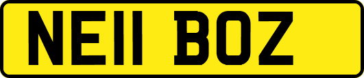 NE11BOZ