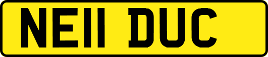 NE11DUC