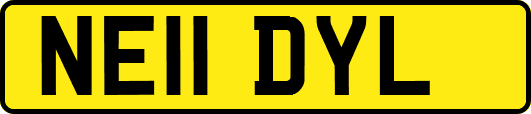 NE11DYL