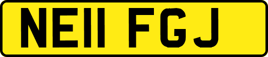 NE11FGJ