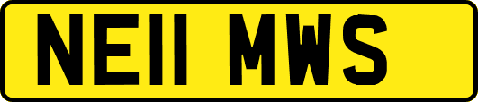 NE11MWS
