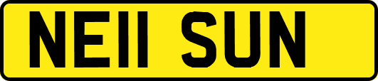 NE11SUN