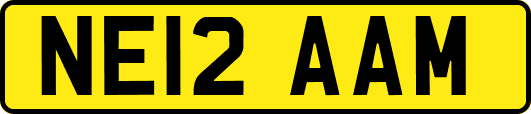 NE12AAM