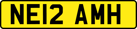 NE12AMH