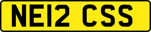 NE12CSS
