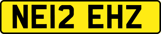 NE12EHZ