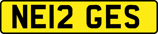 NE12GES