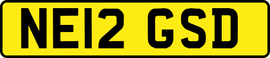 NE12GSD