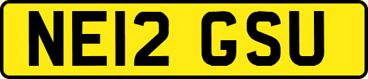 NE12GSU