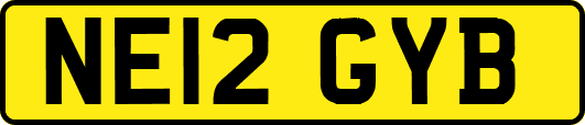NE12GYB