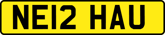 NE12HAU