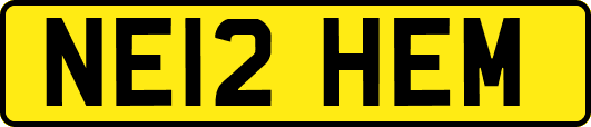 NE12HEM