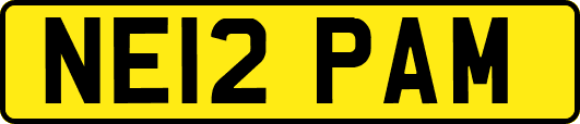 NE12PAM