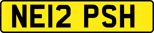 NE12PSH