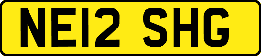 NE12SHG