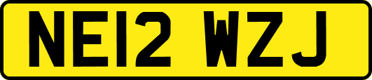 NE12WZJ