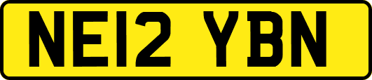 NE12YBN