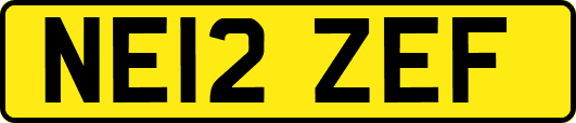 NE12ZEF