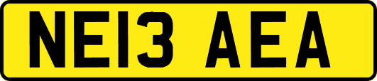 NE13AEA