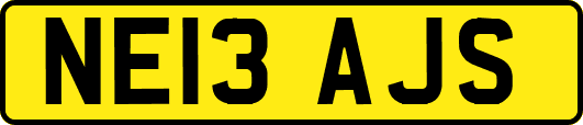 NE13AJS